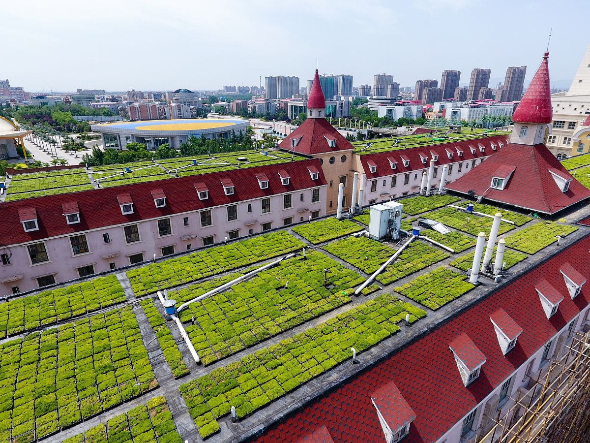 郑州西亚斯学院专业设置及特色介绍 - 应用型人才培养的摇篮