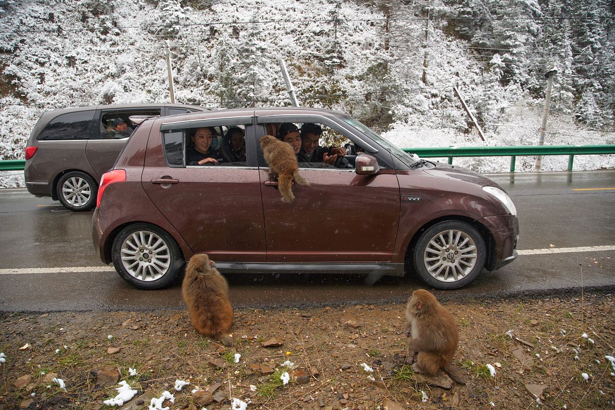 四川省武胜万善职业中学2020年招生简章 - 报名时间、专业、资助政策