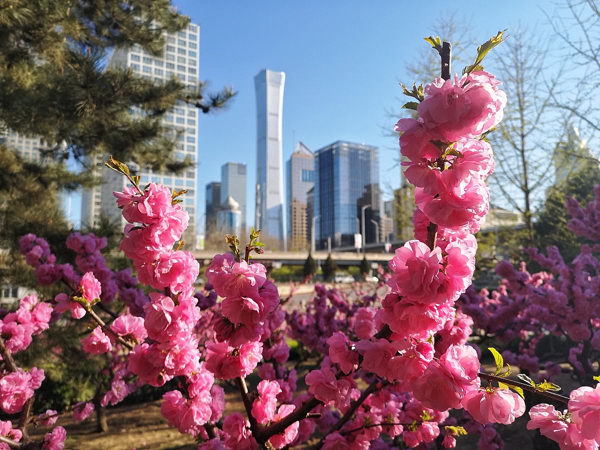 红日高照春风送暖渲染了一种什么的节日气氛