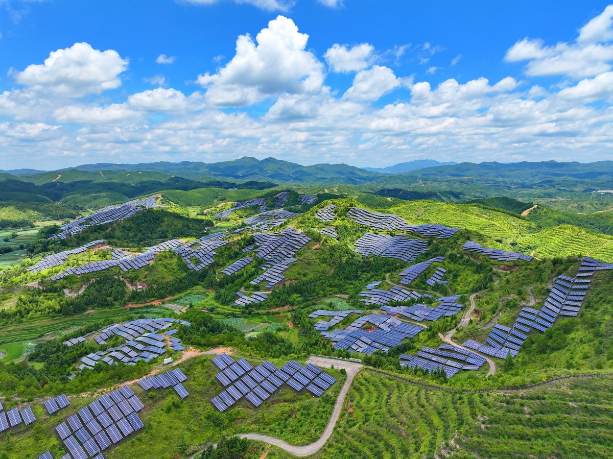 围绕如何盘活镇上资源、引进企业推动高质量发展。可涵括菇林源、月子中心、渔光互补、三星村、界东水厂等项目等内容的材料