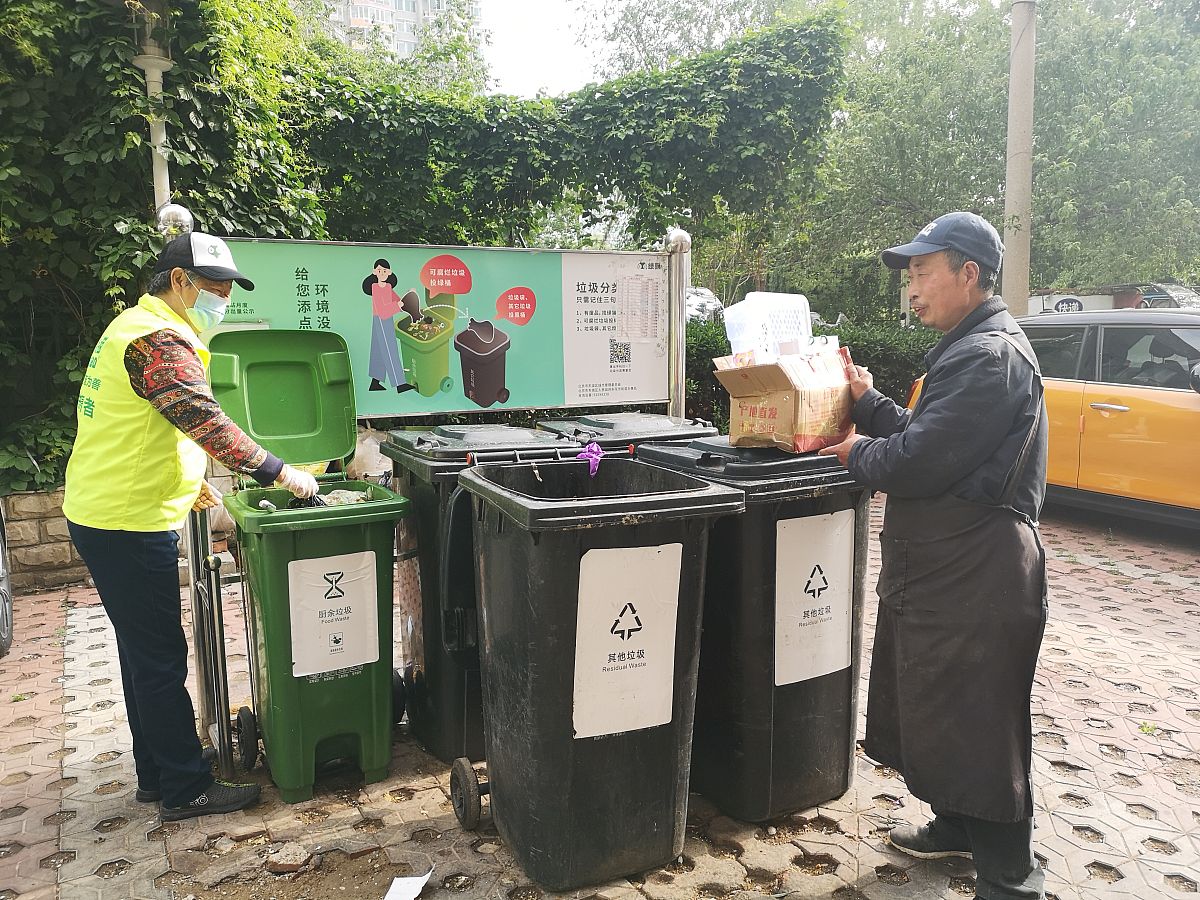 垃圾分类志愿活动纪实：如何让环保行动更有效？