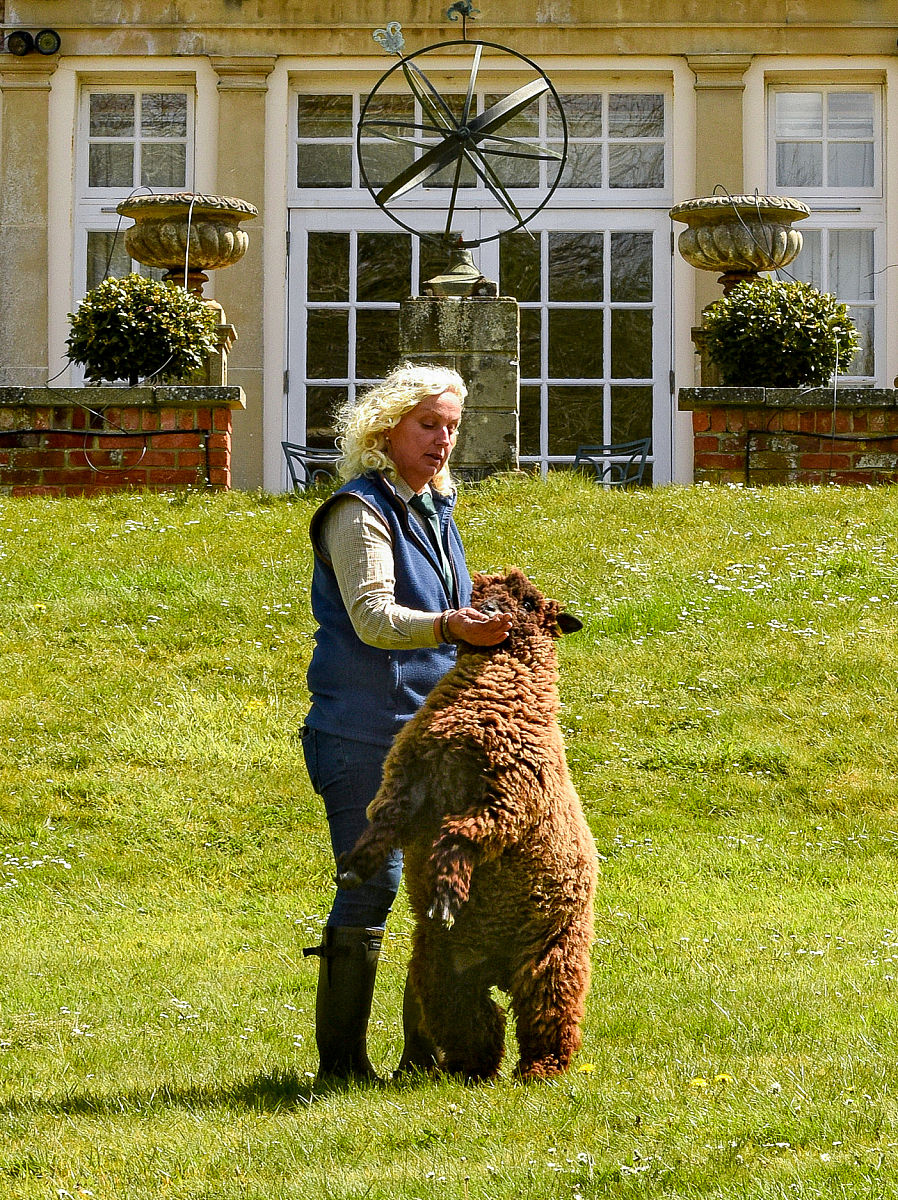武汉三新职业技术学校酒店管理专业这专业怎么样？