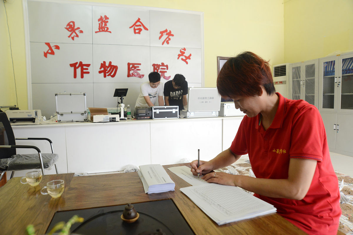 葡萄是碱性还是酸性 葡萄地是酸性好还是碱性好