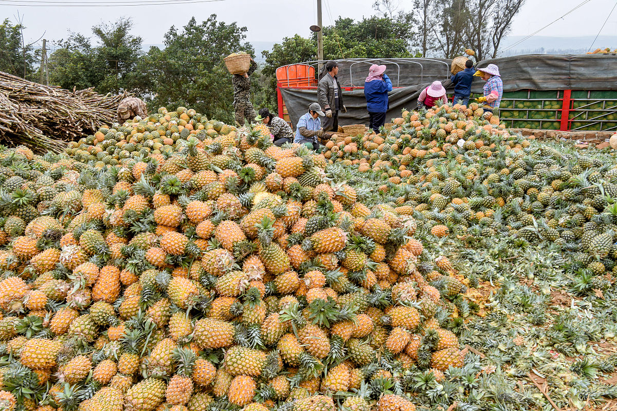 东莞到湛江徐闻县有多少公里