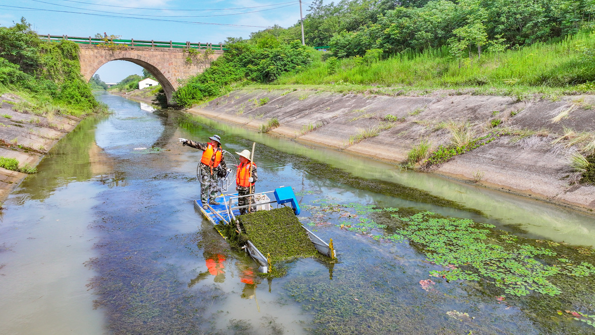 水阳江生态调研：水质、水生生物和沿岸环境评估