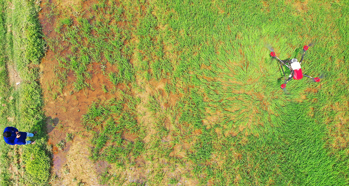 激光雷达在林业中的应用：探索新技术