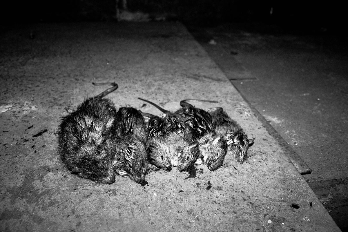 怎样对待不回你消息的人喜欢她