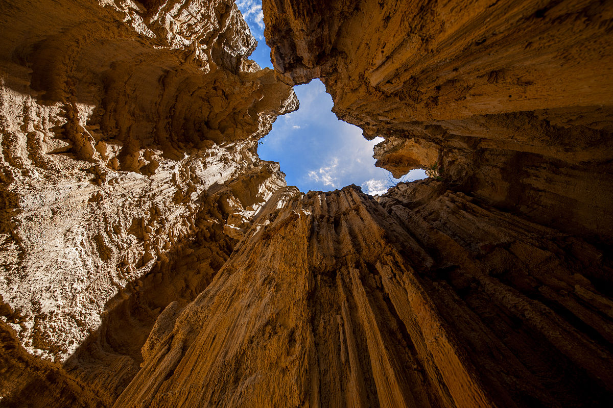楚雄高中中专学校都有什么专业