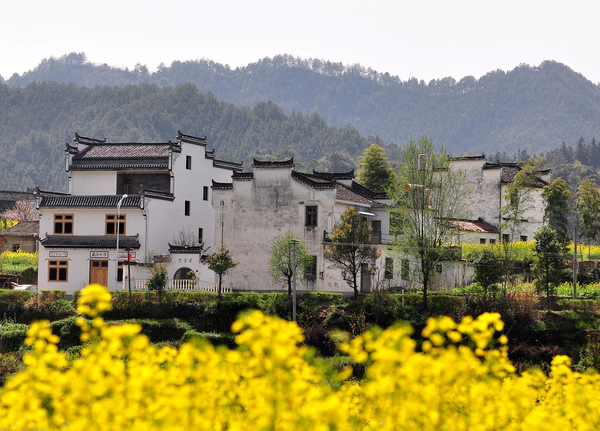 江西庐山旅游中等专业学校专业设置：拥抱旅游行业未来趋势