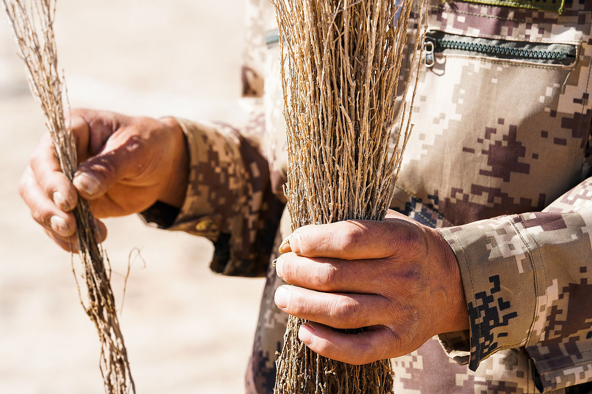 怎么取消支付免押小学星 帮我用250字描述