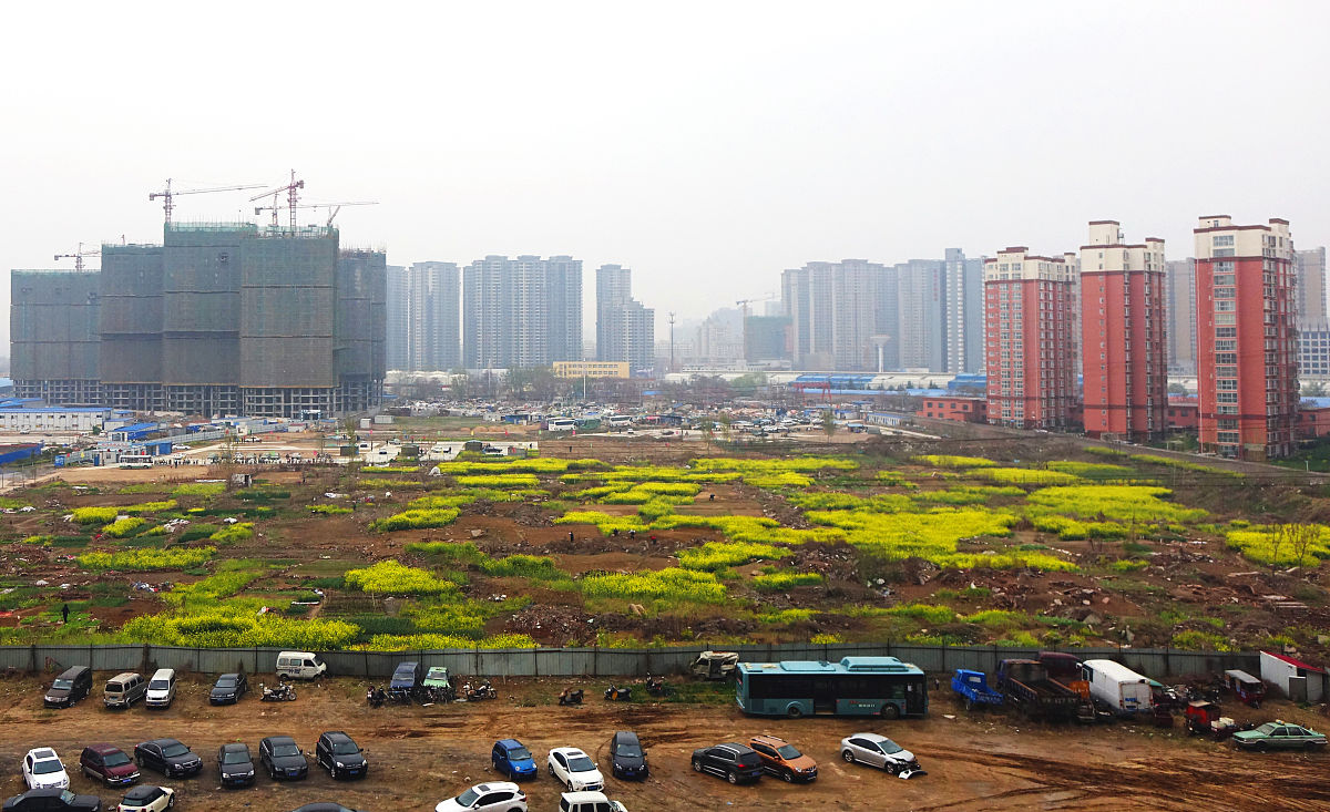 商丘人民公园绿地违建办公楼引争议：规划内还是违规？
