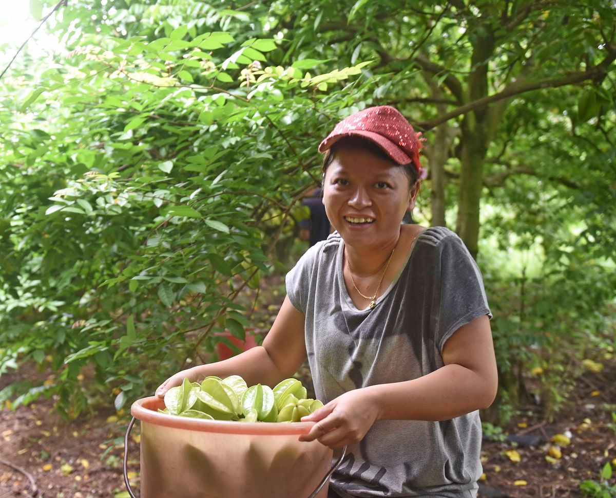 农民伯伯乡下妹国语版第二