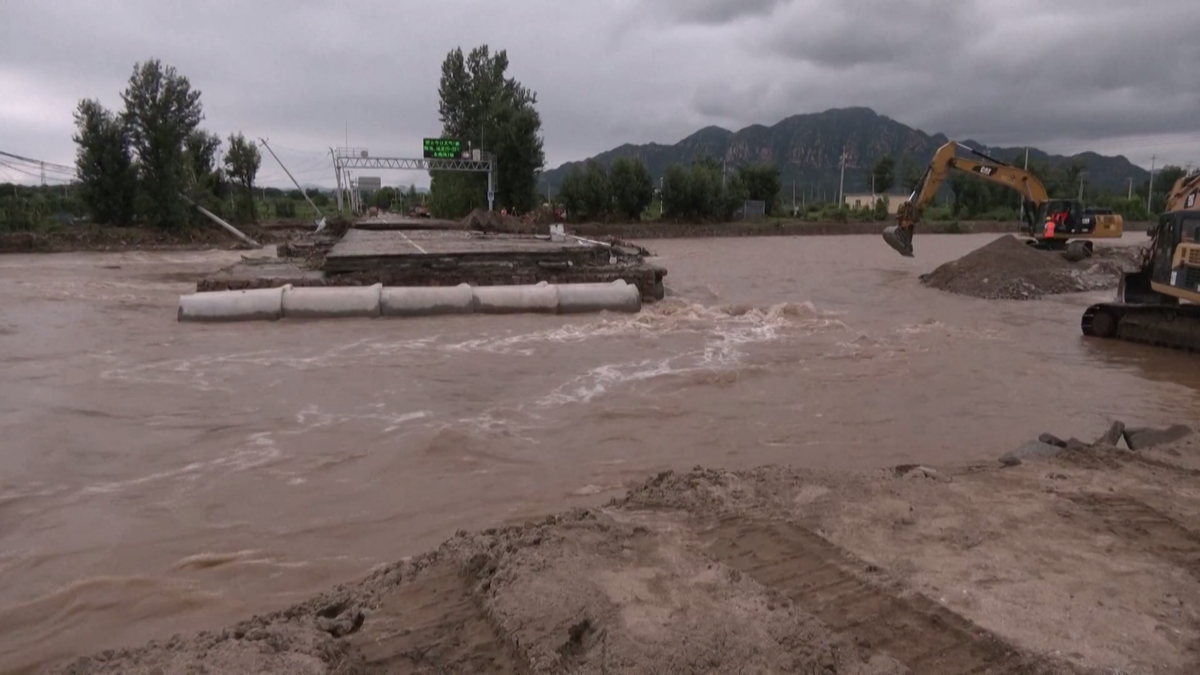 东万艾村洪水泄洪致大棚温室倒塌，损失惨重！