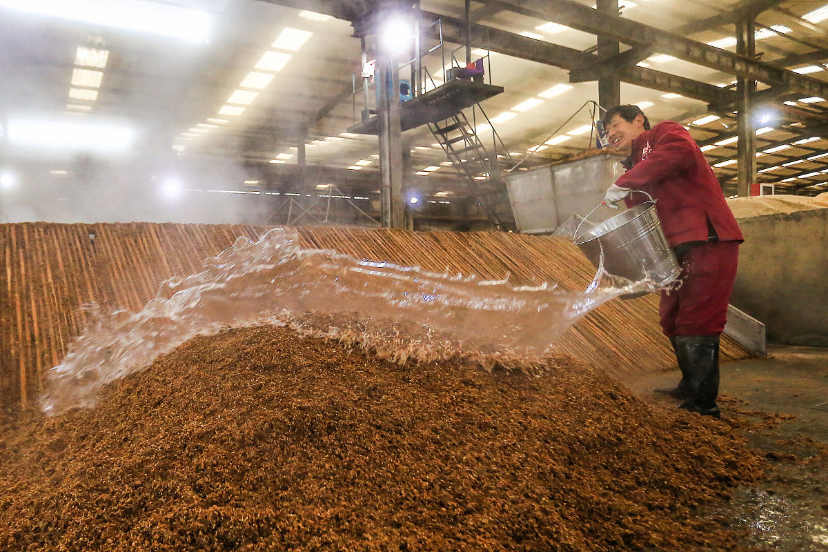 啤酒工艺实习：理论与实践相结合，打造酿造高手