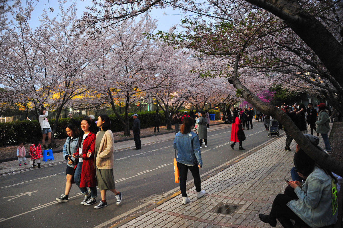 四平职业大学供热通风与空调工程技术专业学什么?课程设置全面解析!