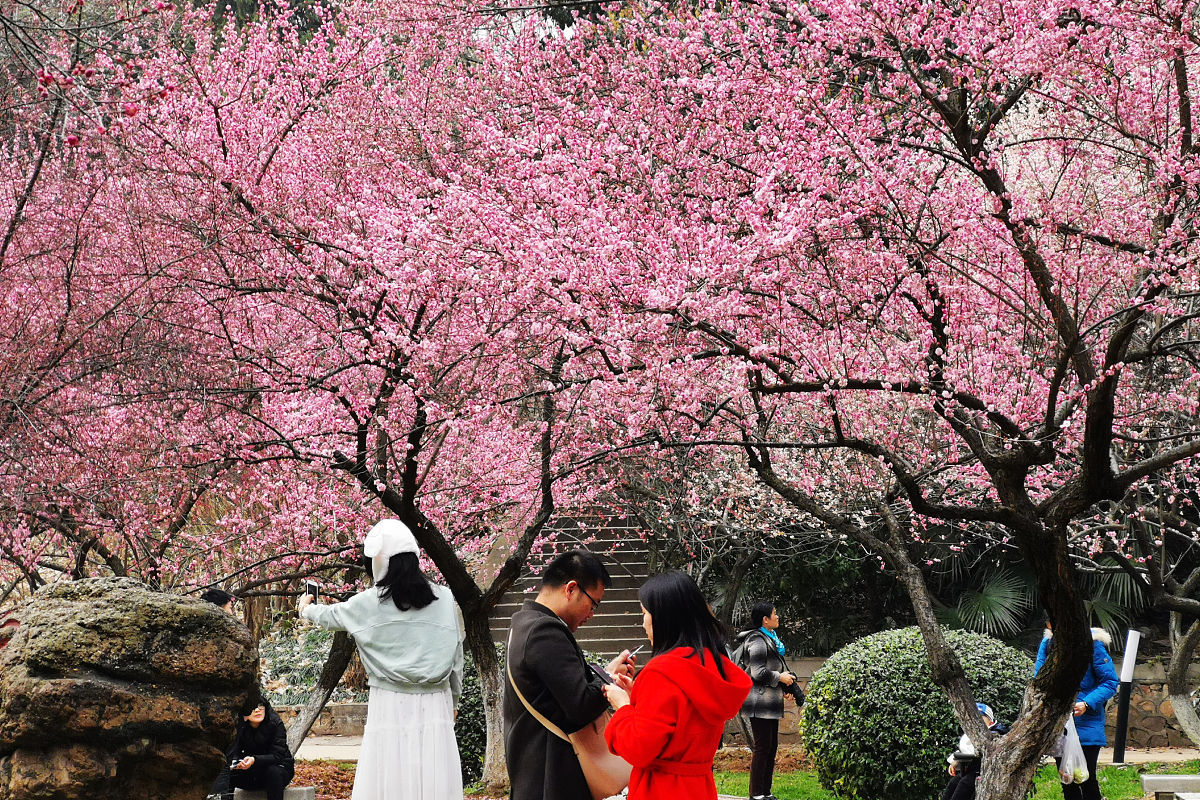 武汉大学医学职业技术学院2019年地址在哪里