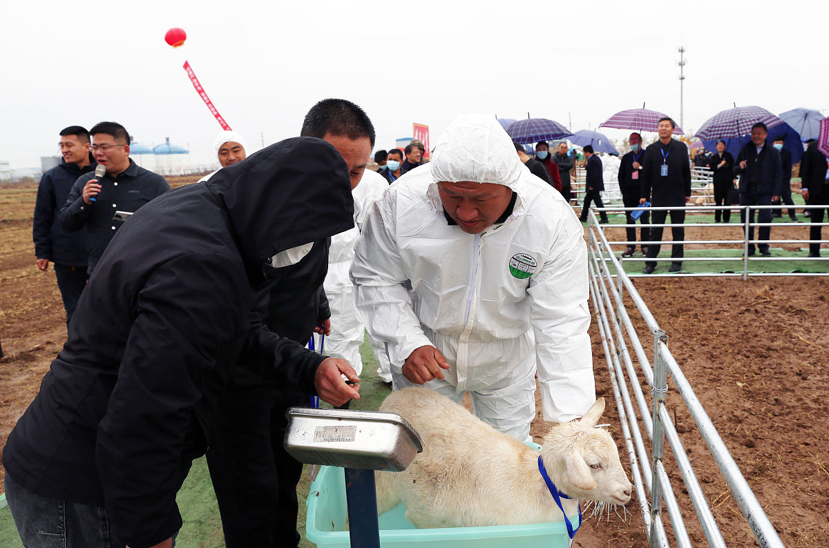 大会圆满结束 感谢所有参与者