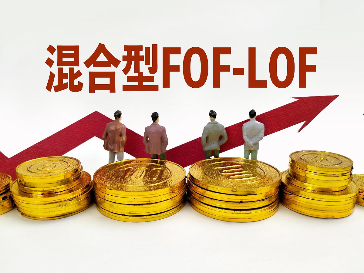 商业配图:混合型fof-lof