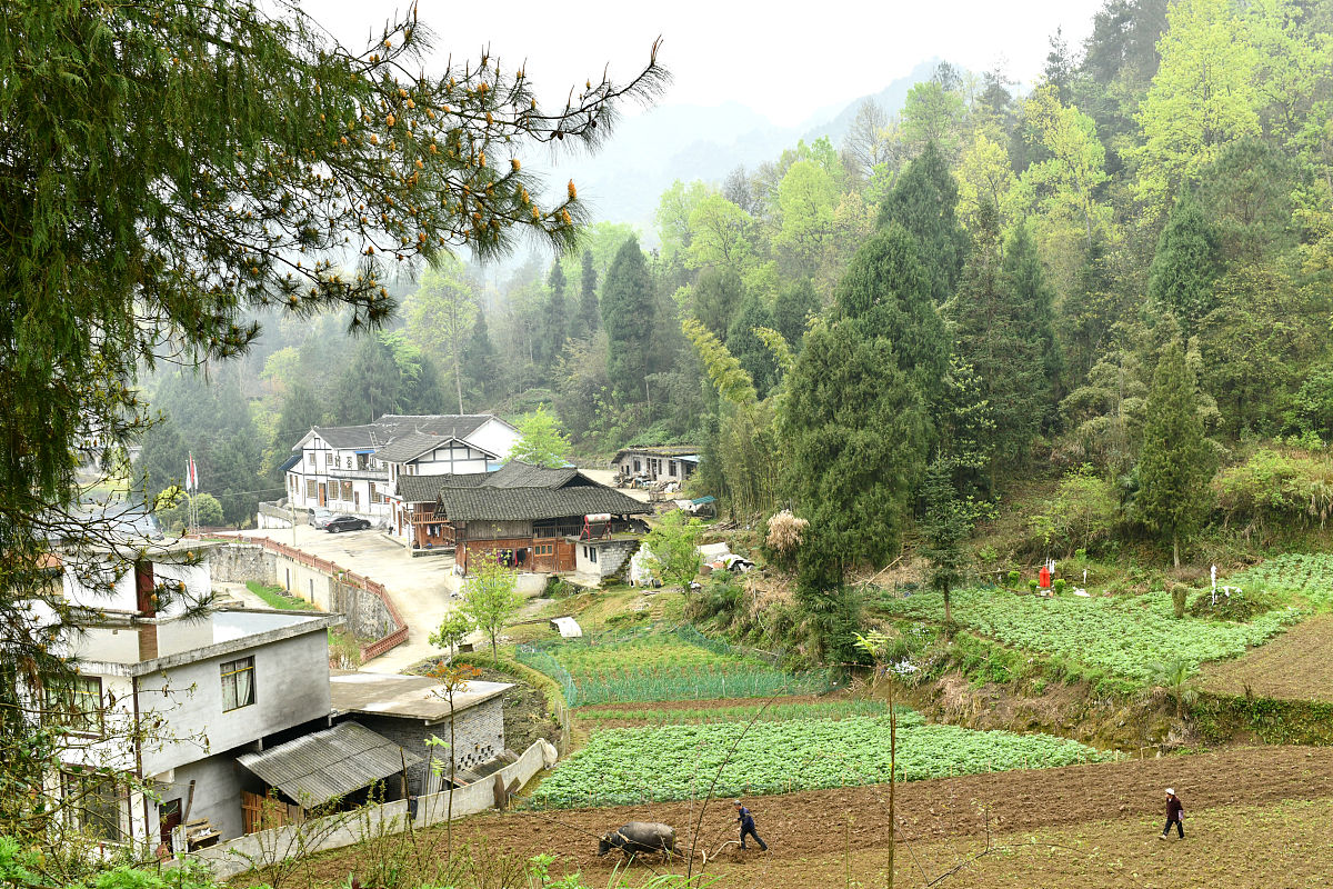 40字内描绘山村美景，如诗如画