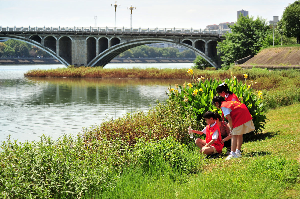 东莞小学六年级学生：爱河护河，保护东江的感人故事