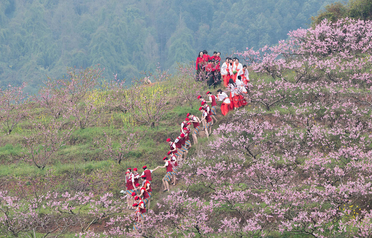 2019年四川信息职业技术学院连锁经营管理专科专业介绍