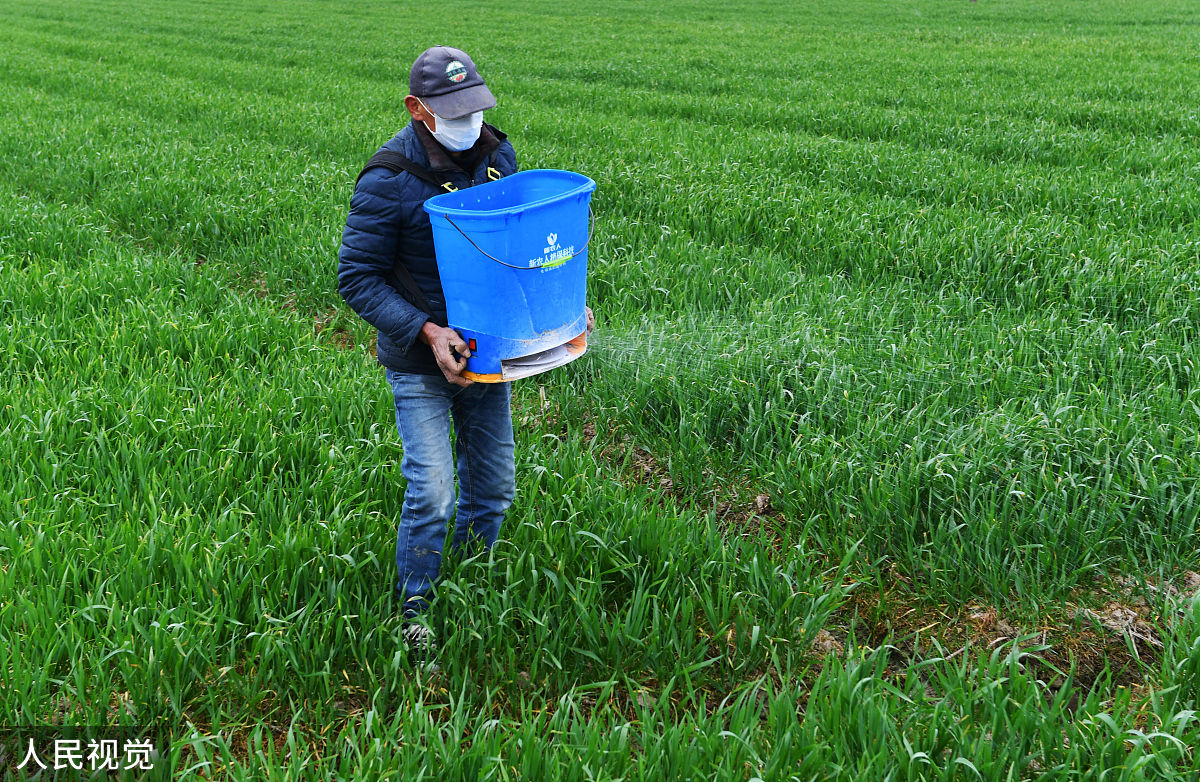 写2000字的除草剂概述