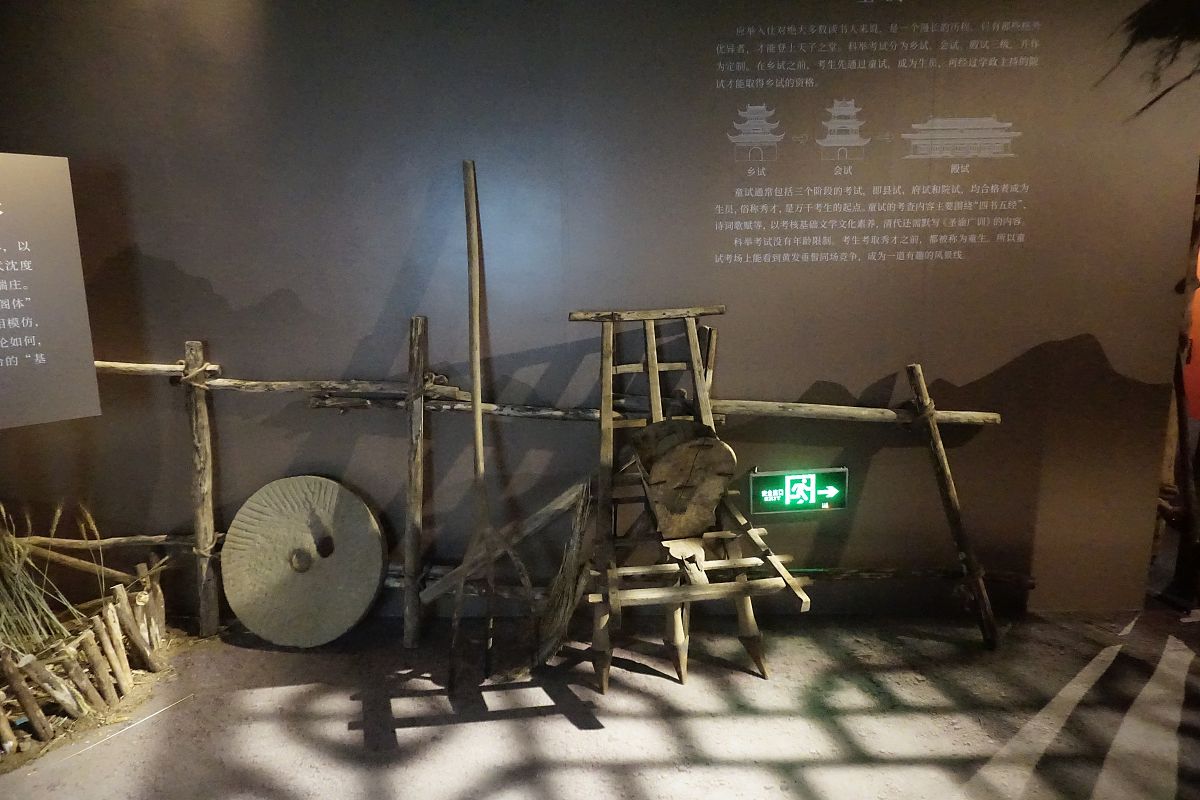 心理教育课的收获：自我反思与成长计划