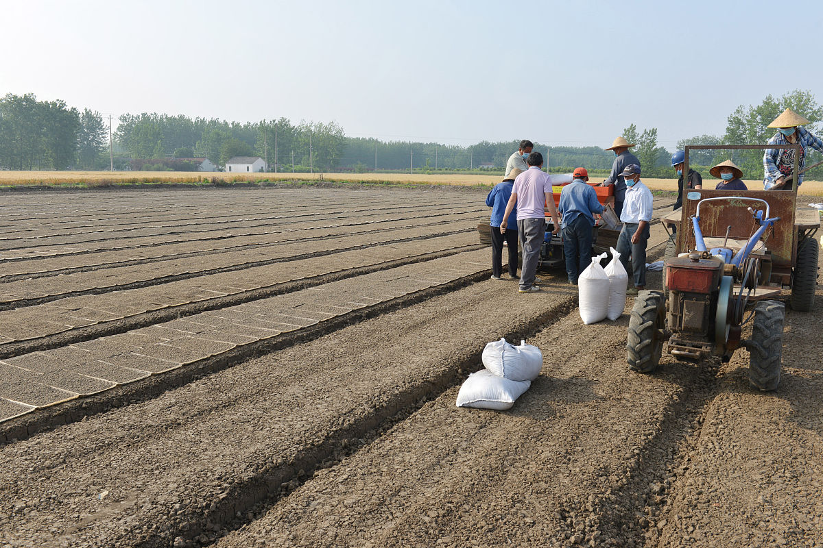 临洮农业学校2022年哪些专业招生