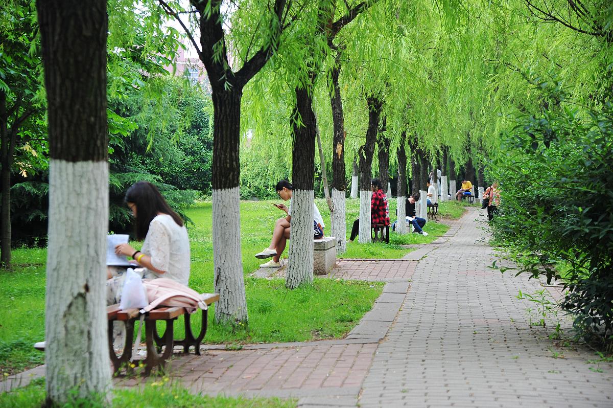 大学晨读：静谧校园里的美好时光