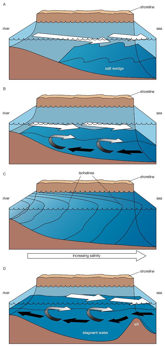 请给出浅水位涡的表达式并利用其说明效应与地形效应的等价性？