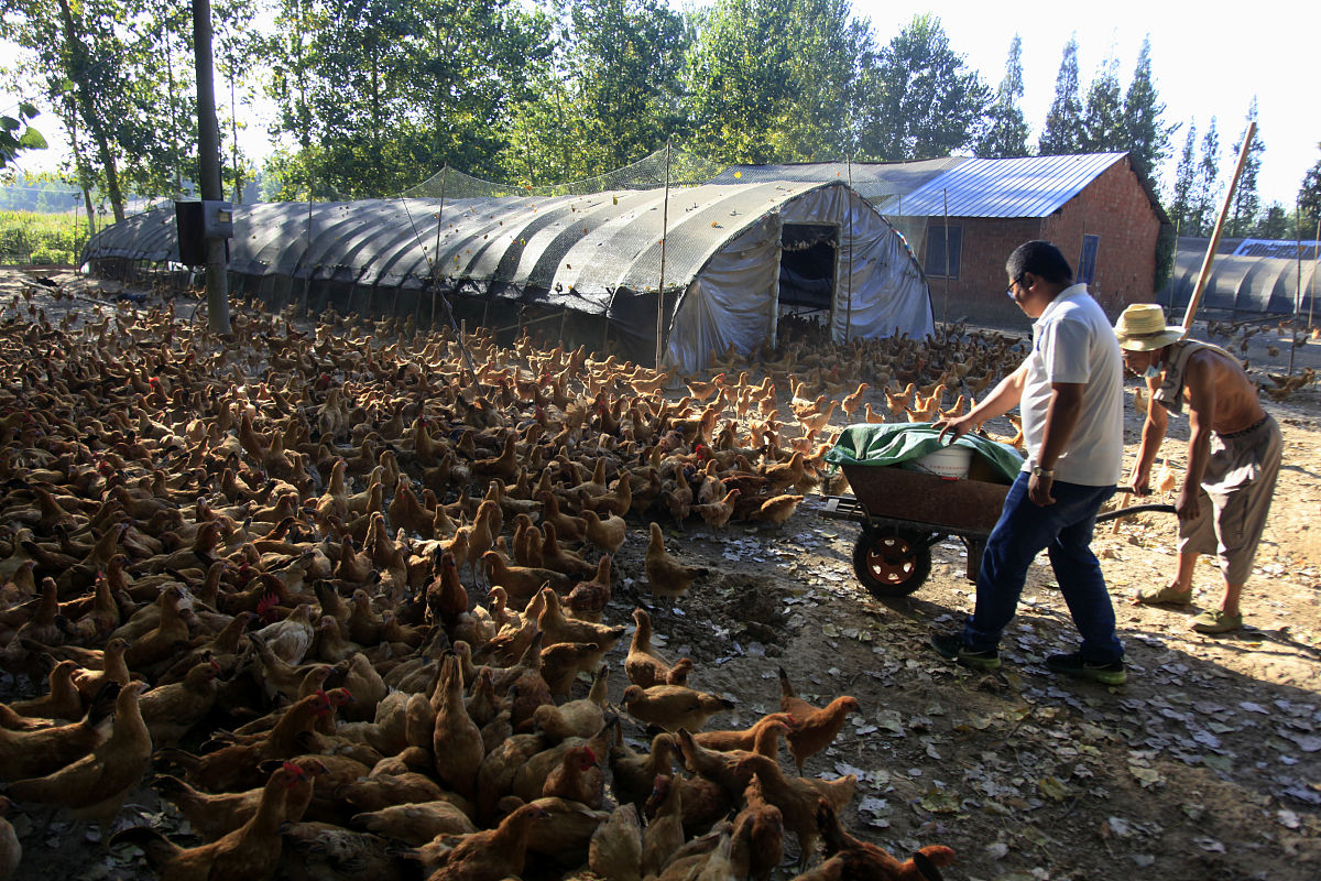 请不少于800汉字的博客文章语言要幽默口语化。主题是：现在农村干啥能挣钱快？三个不起眼却很暴利的小生意