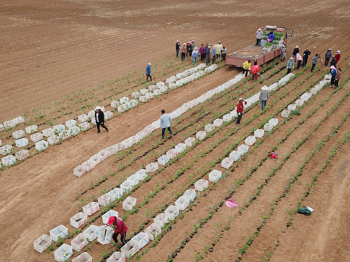 互助县农业机械化学校好不好
