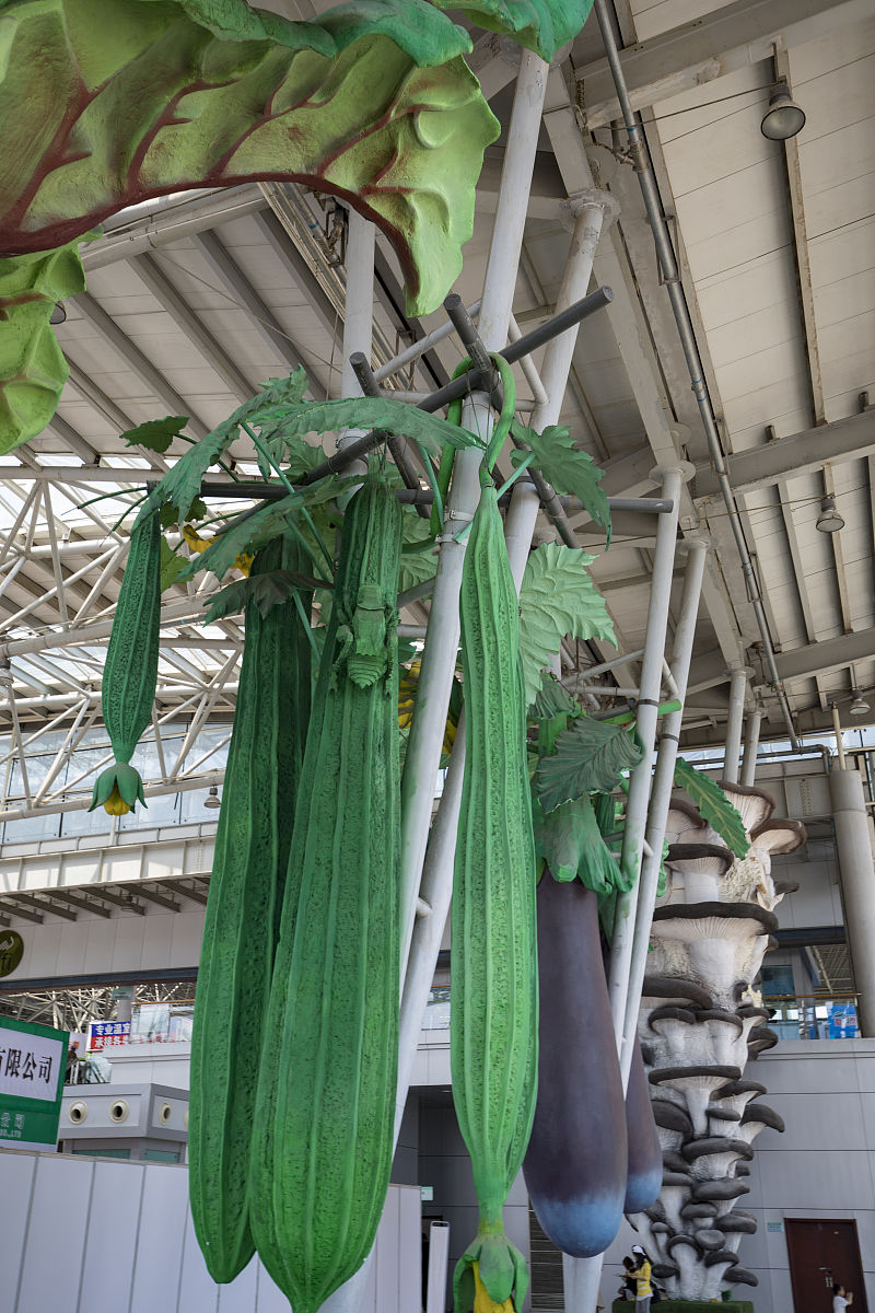 山东科技职业学院服装设计与工艺专业就业前景如何