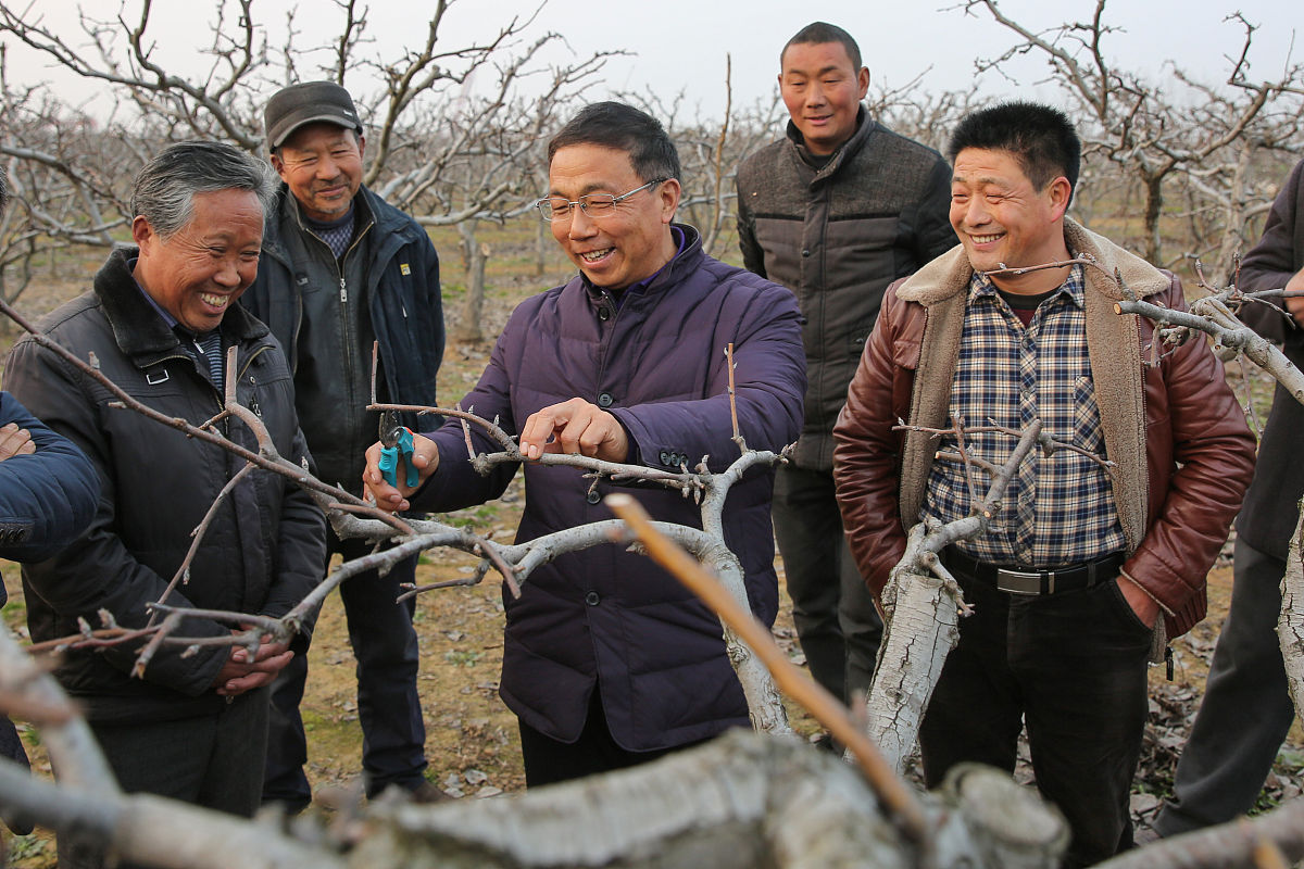 通信工程师评审表 - 评估技术、管理和创新能力