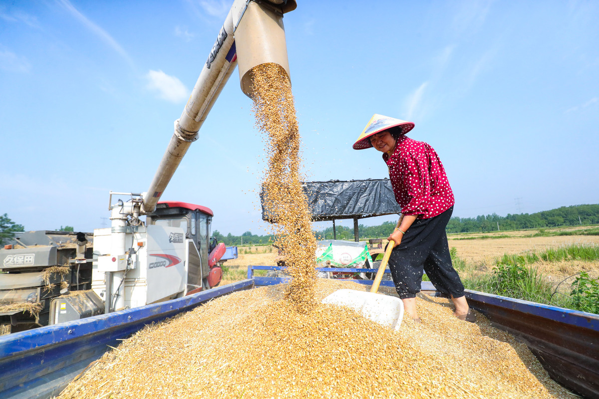 粮食安全：共建营养充足的未来