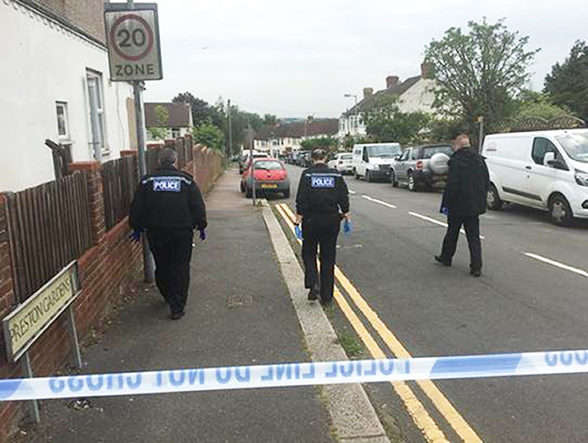 老鼠过街人人见不能杀：生命尊重与和谐社会