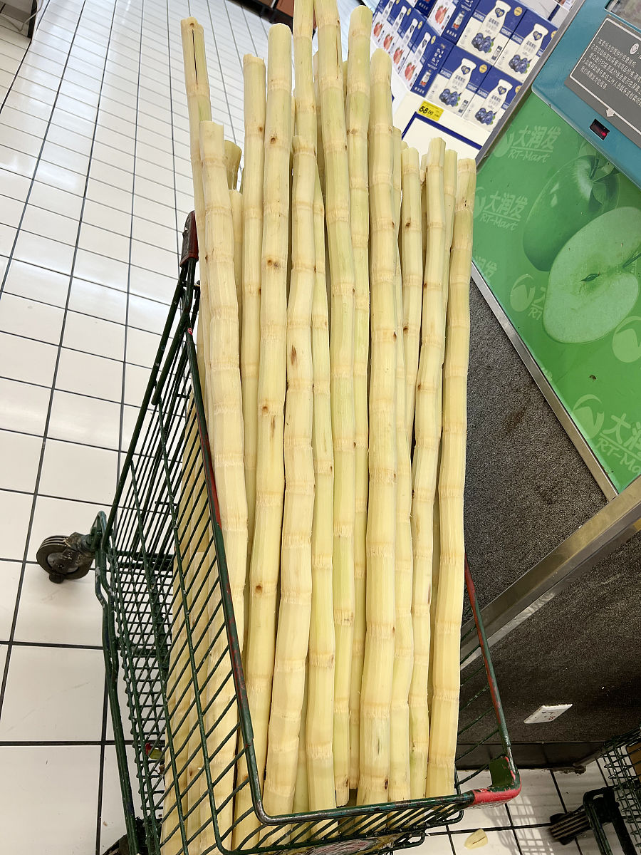 剥好的毛笋放盐煮熟要清洗后放冷冻吗