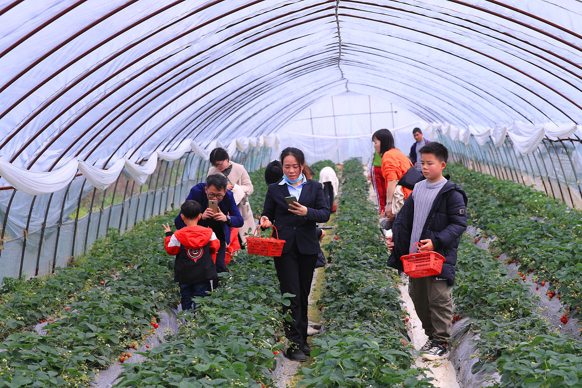 红河州农业学校现代农业技术专业怎么样？好不好？