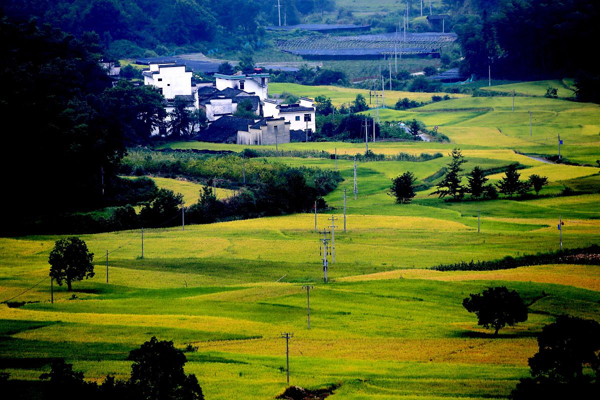 发现身边的美景：城市、乡村、自然和人情