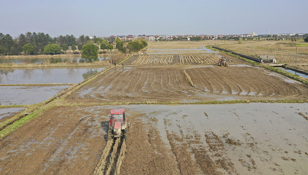 石家庄粮食技工学校2021年招生专业：粮食加工、储存、检测等