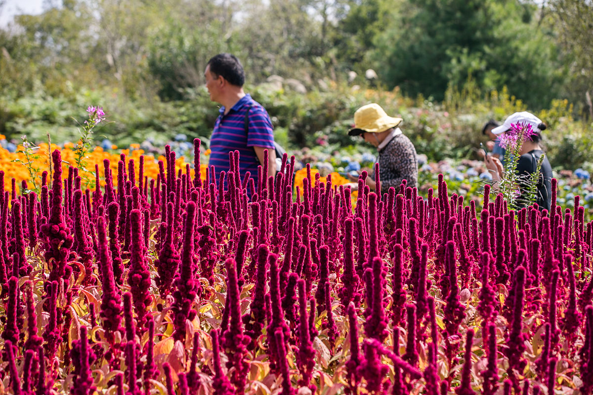 毕节幼儿师范高等专科学校2021年招生简章 - 报名指南及专业介绍