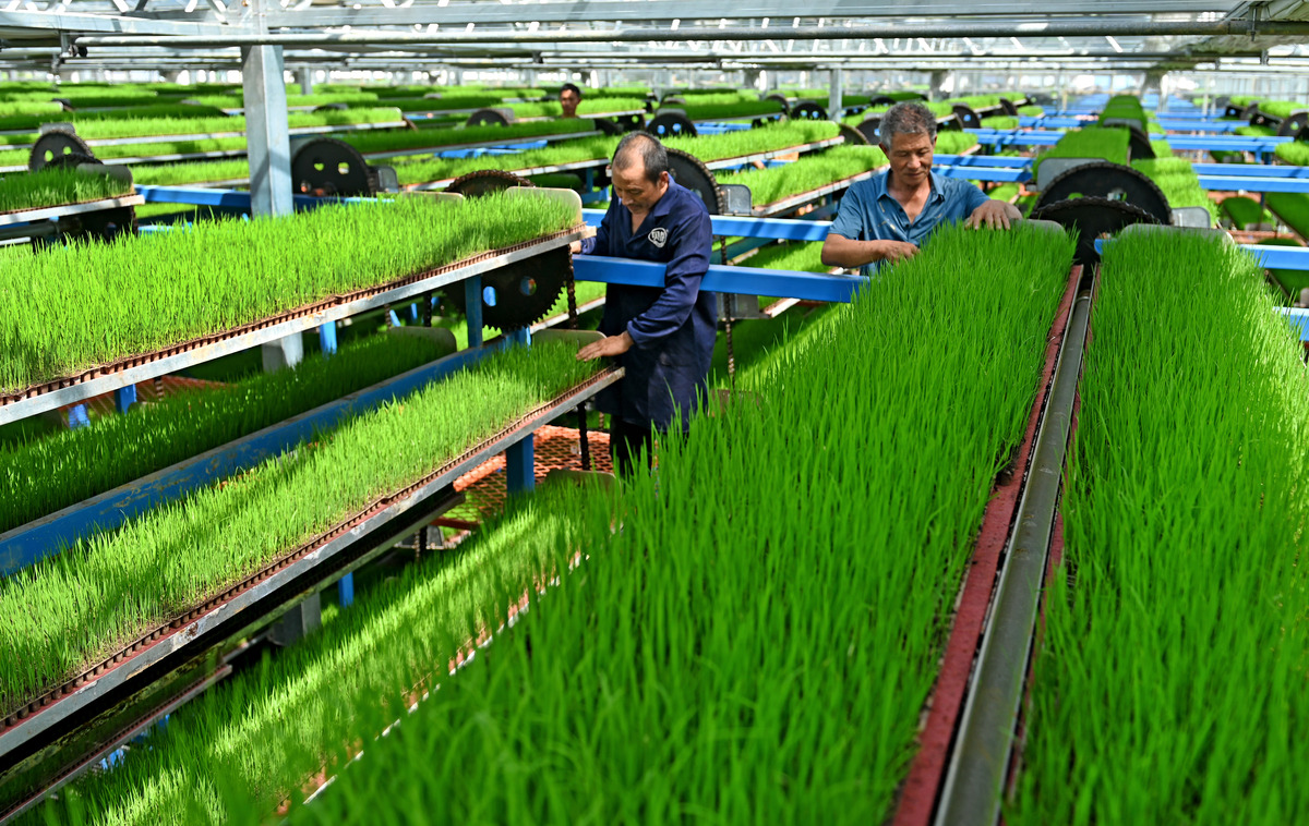 2023年农学专业就业前景与方向 | 农业领域人才需求旺盛