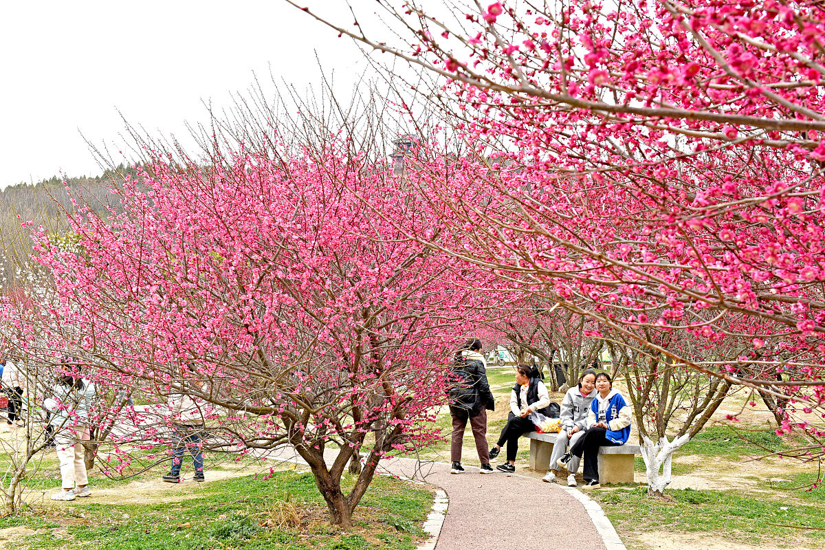 2022淮南市职业教育中心招生简章 - 培养优秀职业人才，开启精彩未来