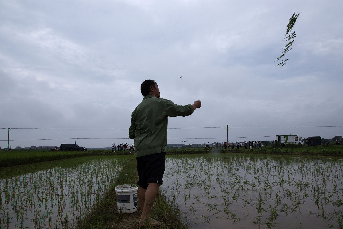 城市服务技师学院国家认可吗