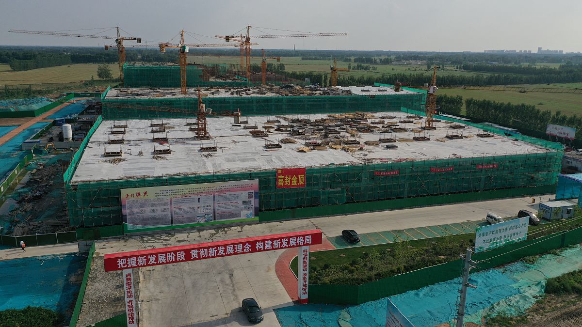 山东畜牧兽医职业学院物流管理专业课程设置：涵盖基础理论、实践技能和行业需求