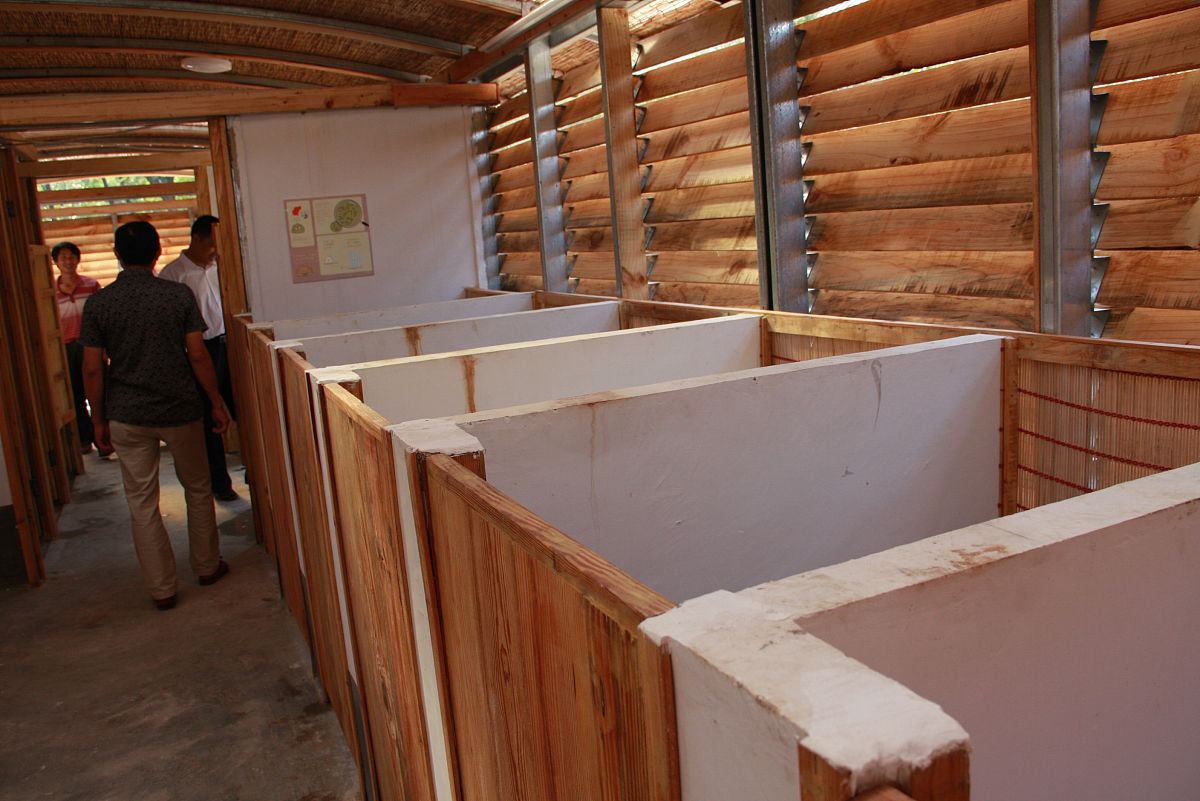 人体代谢废物排出：四种主要途径详解