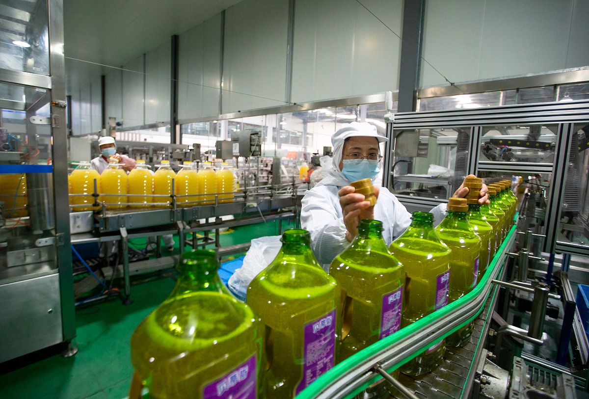 写一篇 年处理1000吨美藤果油的工厂设计 论文