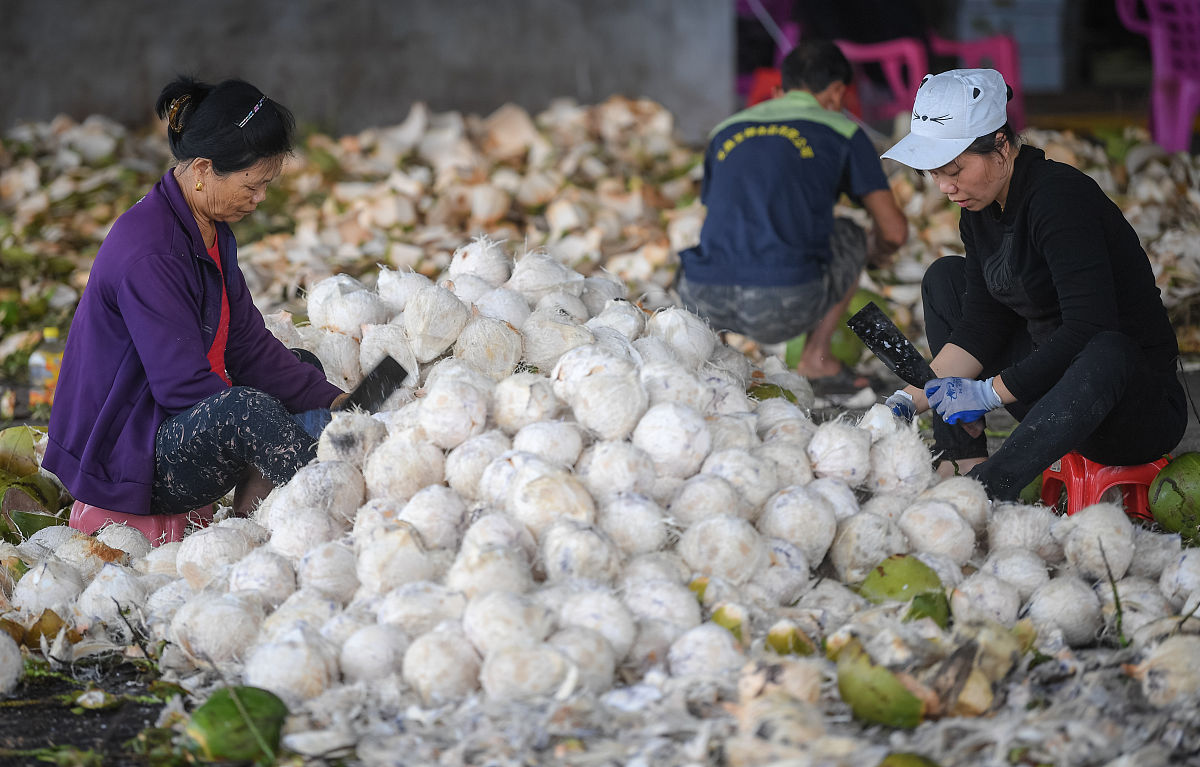 江西应用技术职业学院宝玉石鉴定与加工专业如何好学吗