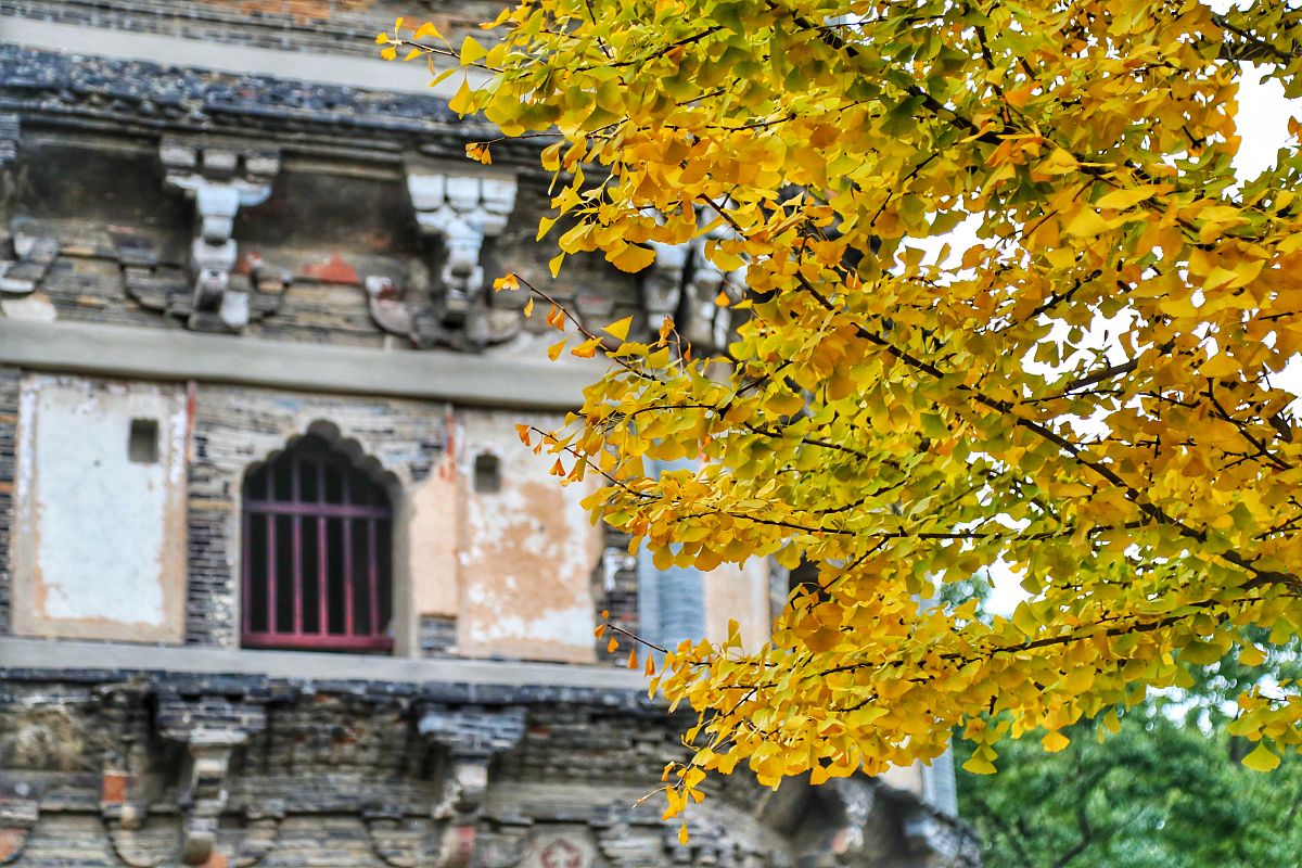 广元工程技工学校2019年招生专业及计划 - 培养技术型人才