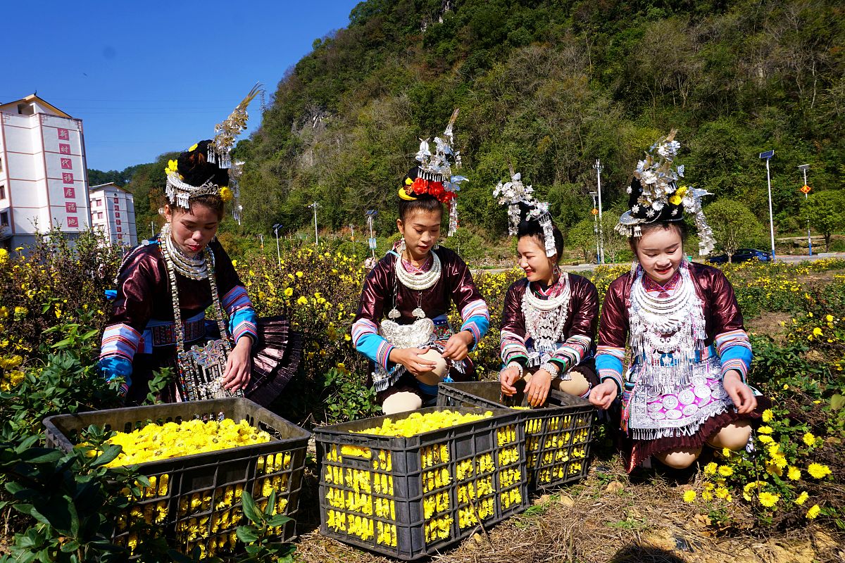 黔东南技师学院有什么专业？用